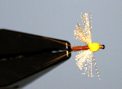 Fly